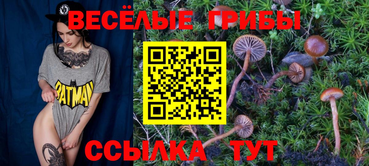 Галлюциногенные грибы мухоморы Кисловодск