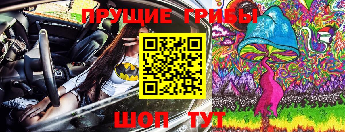 Галлюциногенные грибы Psilocybine cubensis  Вход с VPN  Кисловодск 